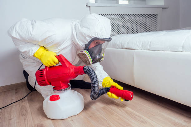 Pest Control for Hotels in Phoenix, AZ